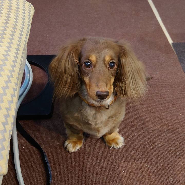 00a639ad 961b 4c19 a632 a77c5bc576ea 1660798835028