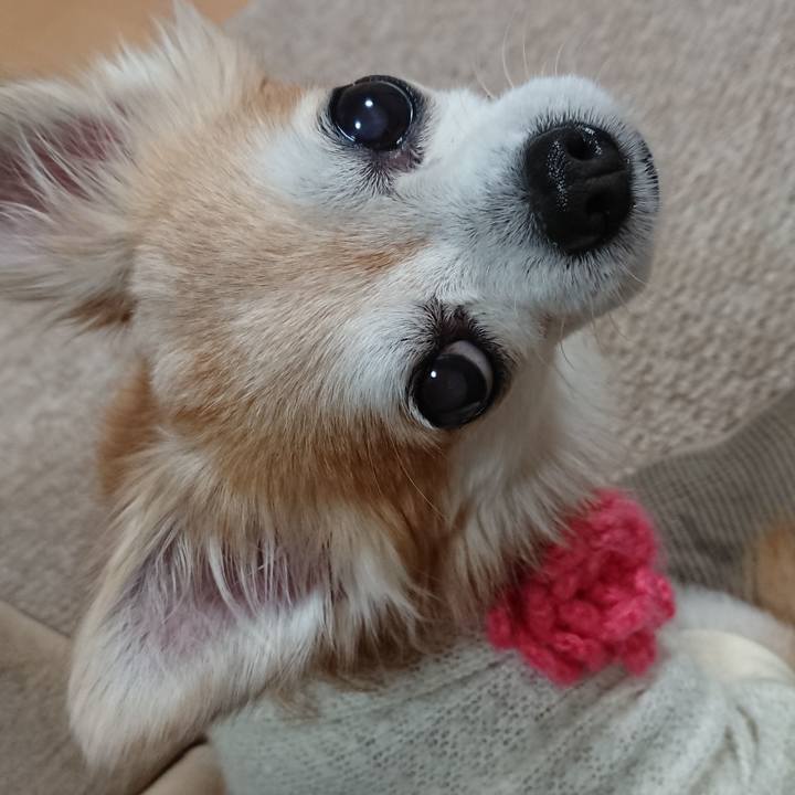 00a647f7 f2b2 423f a01a b1a2cd4ca2fa 1510750942568