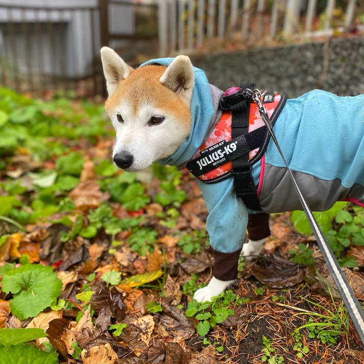 00a6640b a503 4667 85a0 0bc1e03661c4 1700196948448