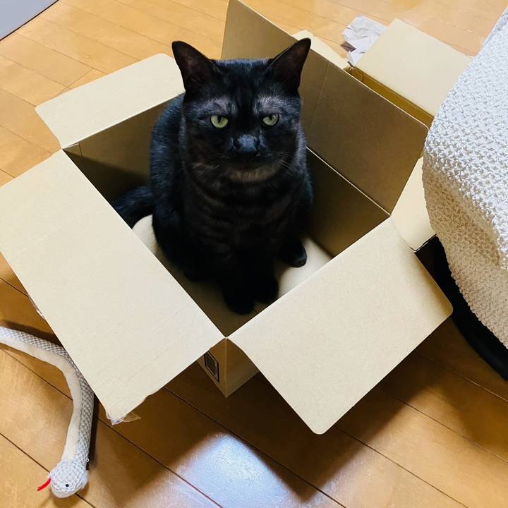 00a66a49 db03 45f5 8660 a1453d10a5f9 1753490121455