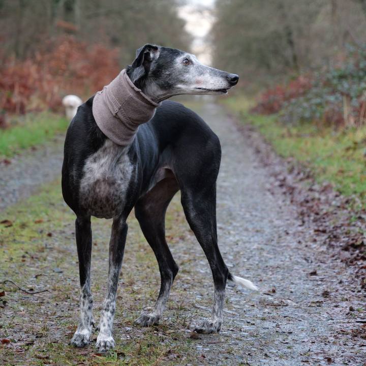 00a676b1 7948 4ec3 9c26 22d98db97ccf 1771177671581