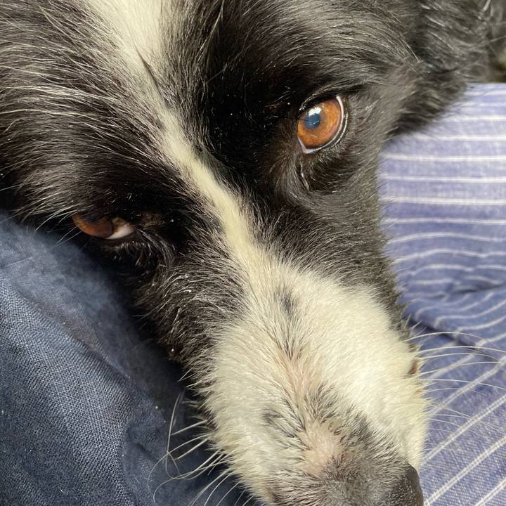 00a676b2 b316 45e6 bb74 4fca8da497e4 1595226935466