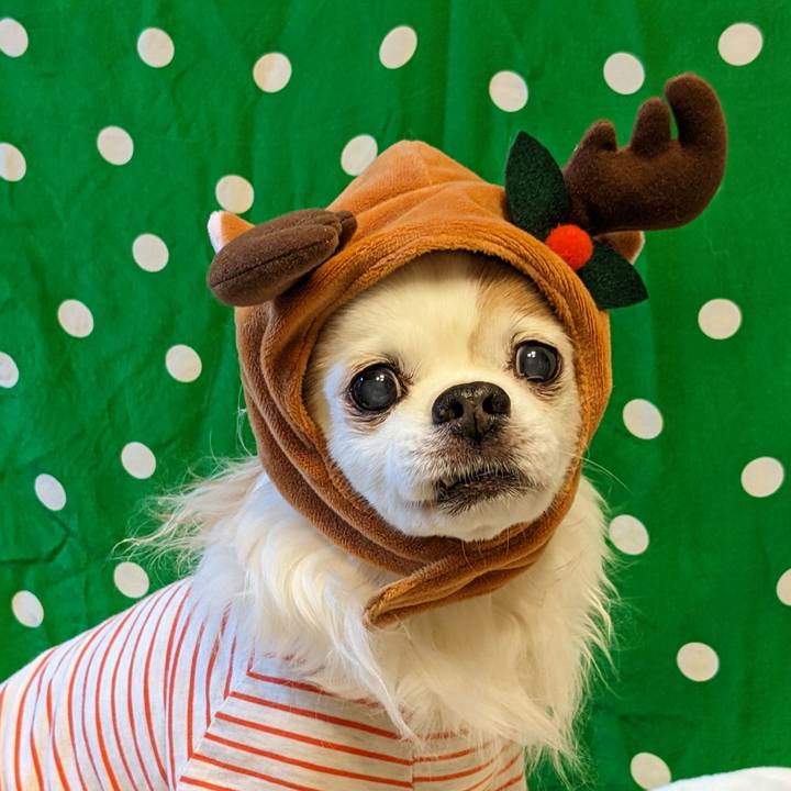 00a68053 9c38 4a28 9f66 6ec4fdf4a722 1671977665706