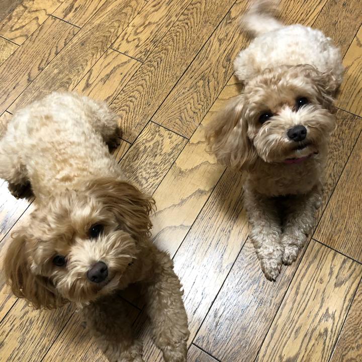 00a6a49b 9038 4bc2 ad6e b2fcebc0934a 1637780887342