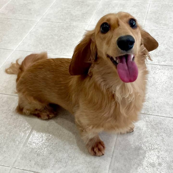 00a6e5de f895 4f21 b00b 9cf2b5610634 1719744534865