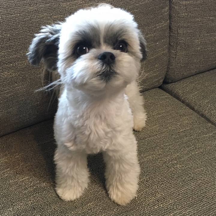 00a757cd 9c2b 4a31 82b6 aec727bd11bc 1611391550004