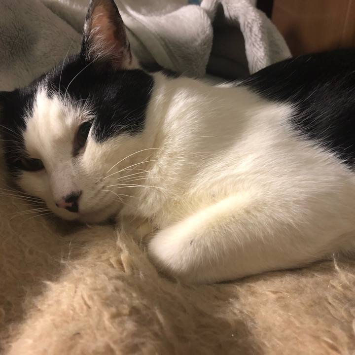 00a7614c 21c4 4fa6 867d f04b4fefb9d4 1547570508915