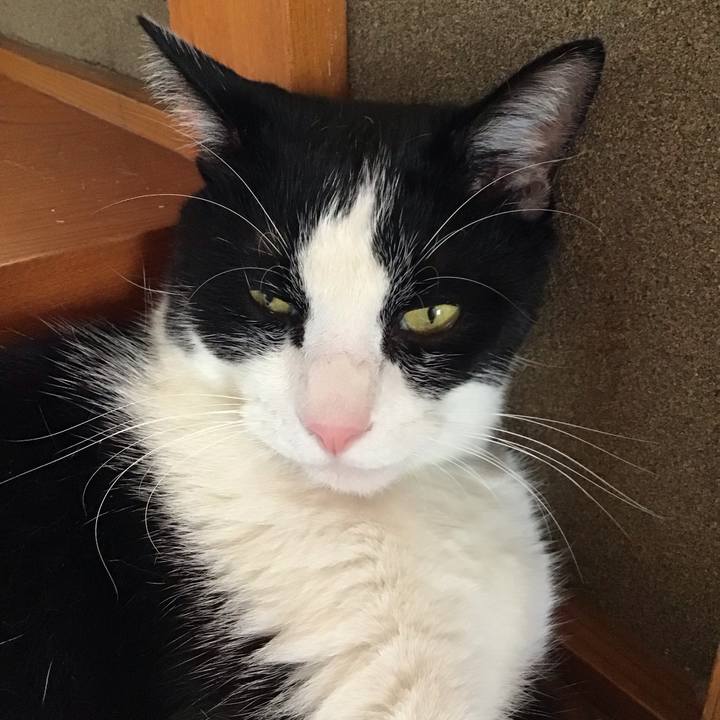 00a76d3a 001c 4a77 acf1 b285a2e4625a 1694605704168