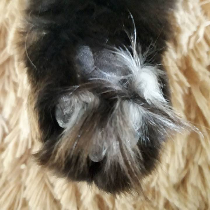 00a7a4d3 b250 49e5 9d5c 28255c77ffaf 1523533817838