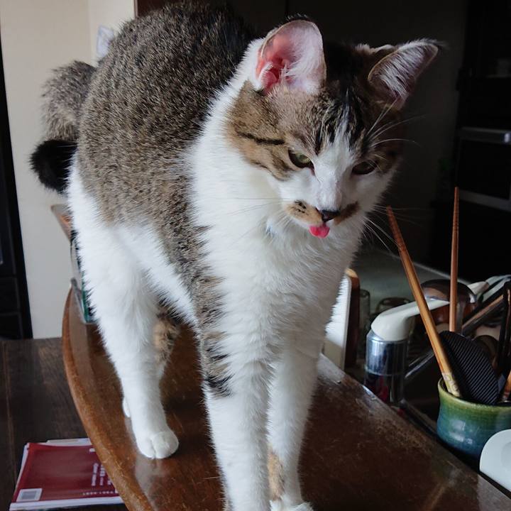 00a7c5bb 7c53 43fb 9a60 0c846b81358a 1567989550643