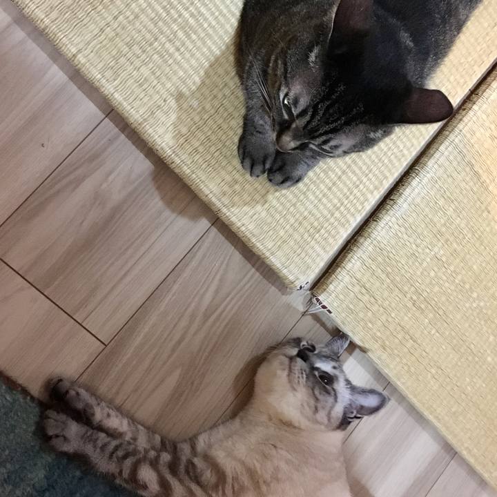 00a7cfd5 432e 4434 b0bc 0f69812859de 1593433470872