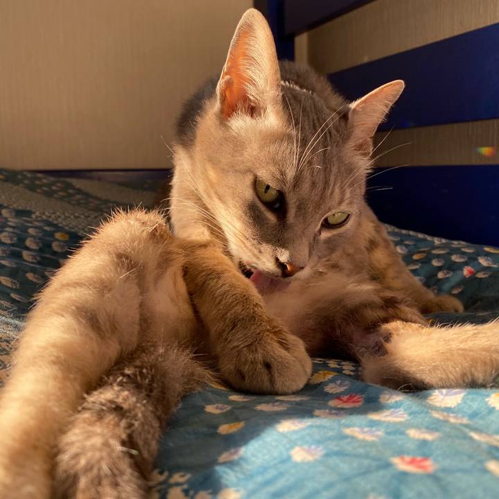 00a7d382 c9b8 456d 92a1 c2afb1f3dcab 1595164587477