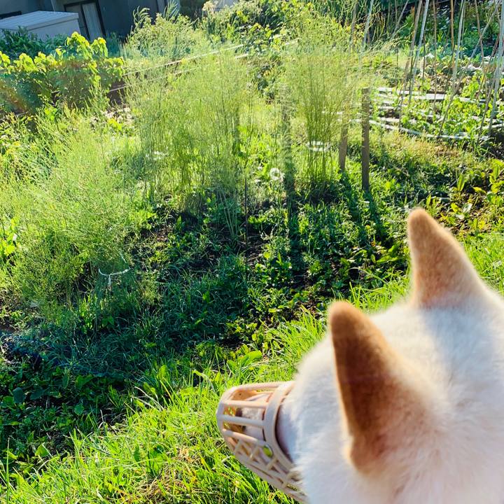 00a7f31a 717a 47d7 a32b e8c403397b28 1561325699291