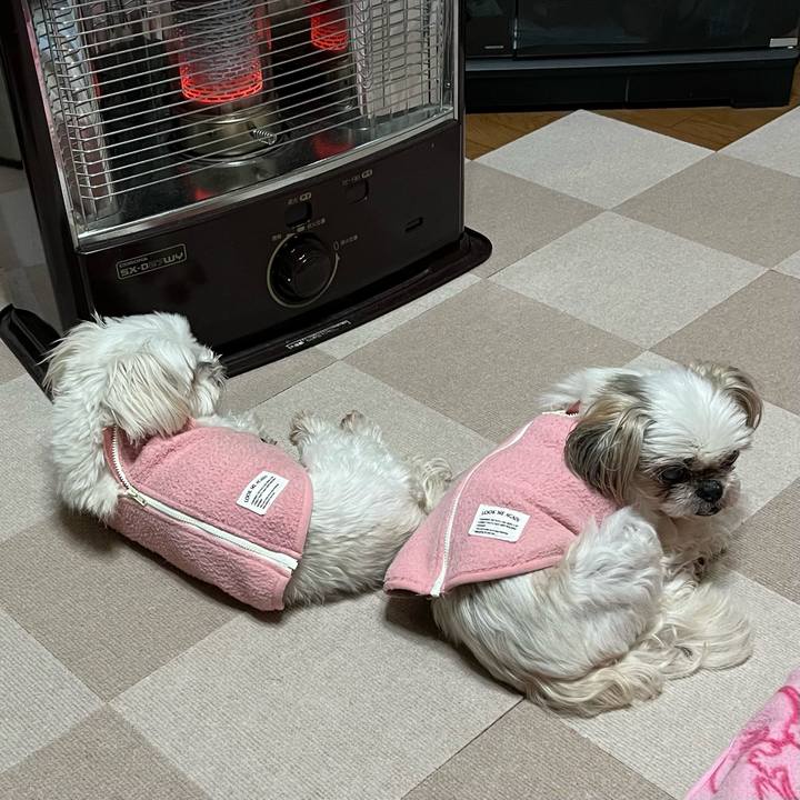 00a7f45e 70d0 4288 b1a3 ea8dbfed60dd 1739440338863