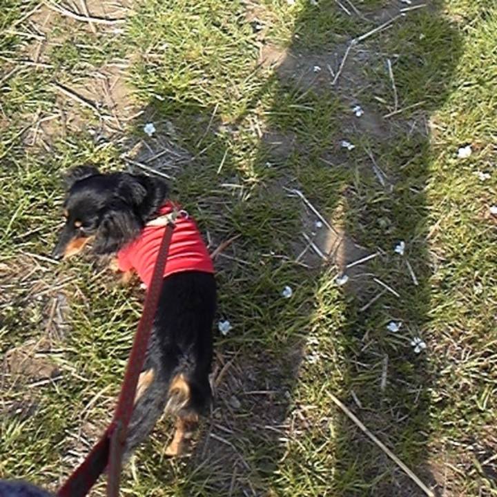 00a8030c f7be 4b58 a16c dc3026f15857 1723673271318