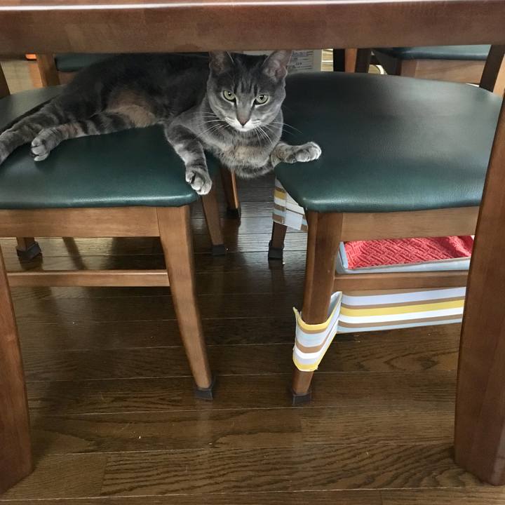 00a8214b 795d 4d32 bf02 499fdf9b340b 1550968181226