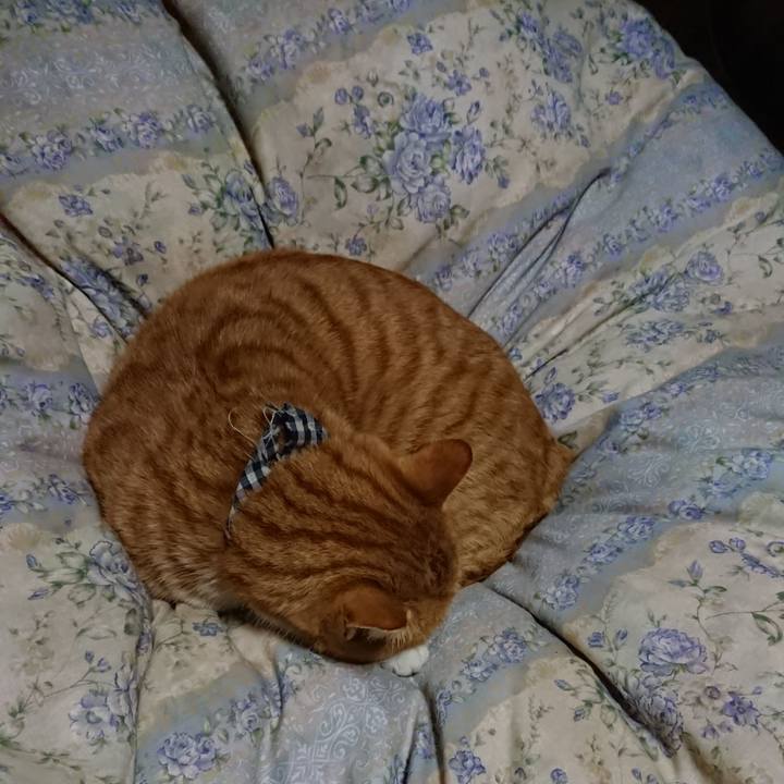 00a8487e 6c43 41e3 a0ef 369ba0ba4b68 1575721213478