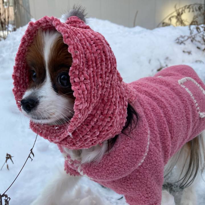 00a85062 994c 4cdd 86b5 8abd4516687b 1641460457954