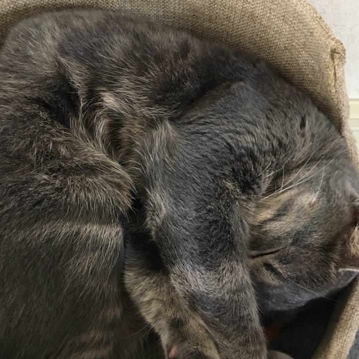 00a86f0e 4d5d 4245 a914 f6c426489449 1594520851244