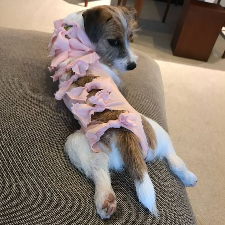 00a8bee4 da67 4377 a999 d98b00c7ed2b 1763035420178