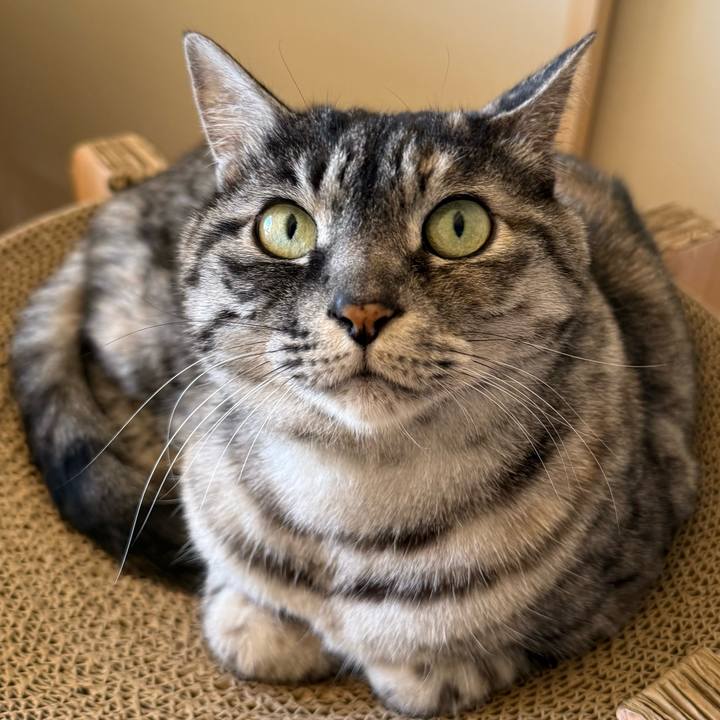 00a8c749 26b9 43d4 a5cc 304d7b02138d 1768021256345