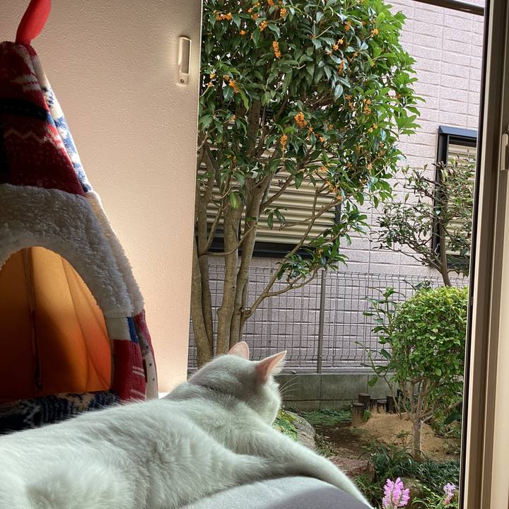 00a8d851 3e4a 45cf 966a 7321eabfa450 1664515531876