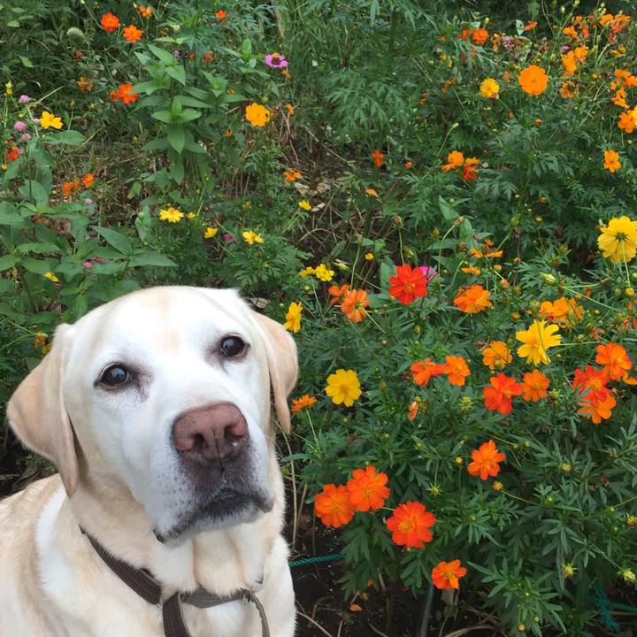 00a8e654 4455 43f0 82f3 3a28ac4410ce 1537398451785