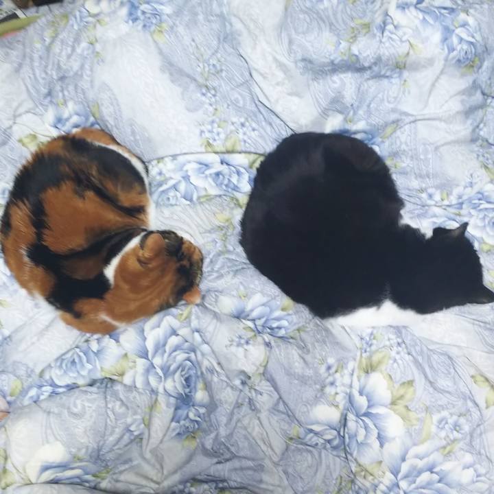 00a96130 74da 4bcc a7a5 1dedef3f1e9f 1578748300134