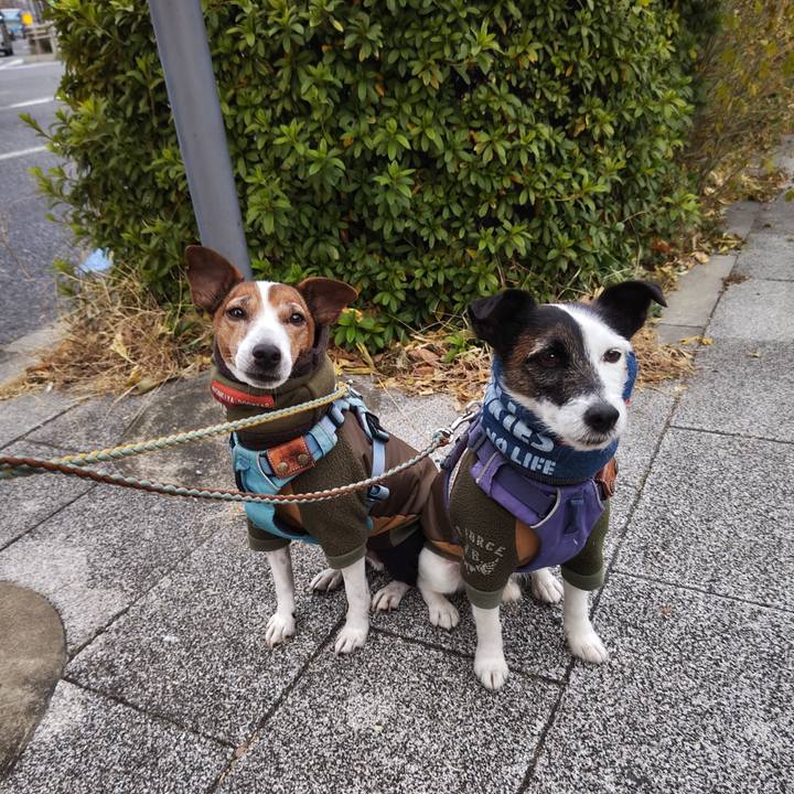 00a97beb 267a 4e48 8518 322d326aace8 1735864359029