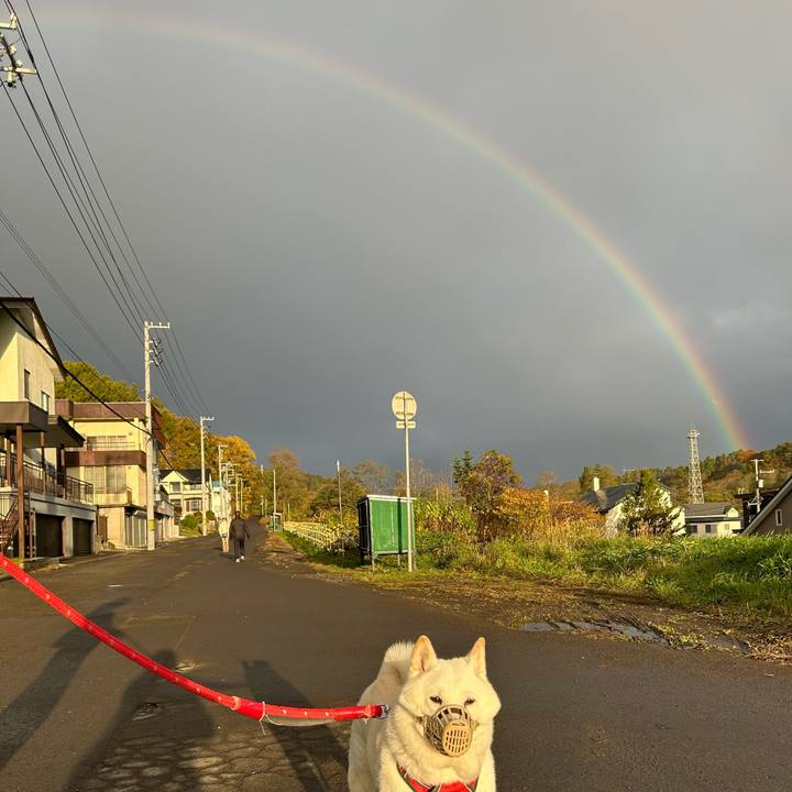 00a98cc4 5fb8 4ae7 9526 8625f30bd792 1761170777949