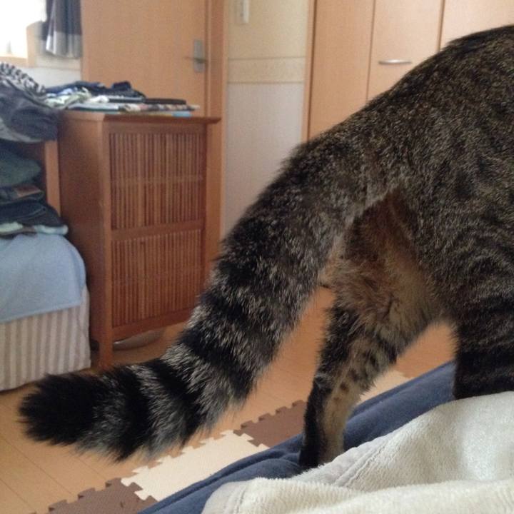 00a99567 3c72 4169 ab82 c9d960104be7 1508470951643