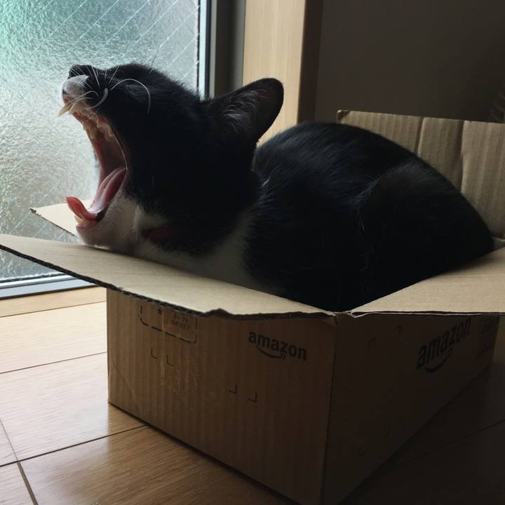 00a99a96 2653 43ea afd0 5377bdc41b37 1525221485174