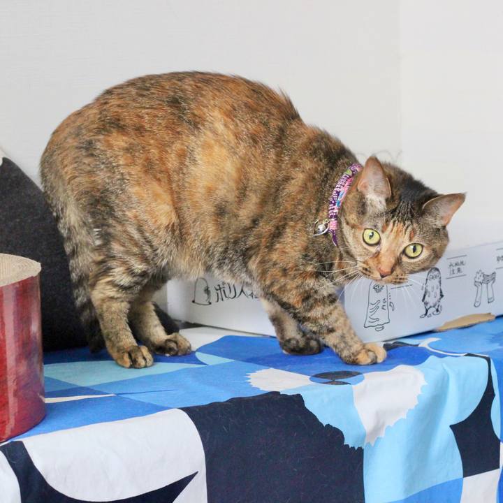 00a9c8ee ce9c 4148 b124 568a22dc7458 1624573442261