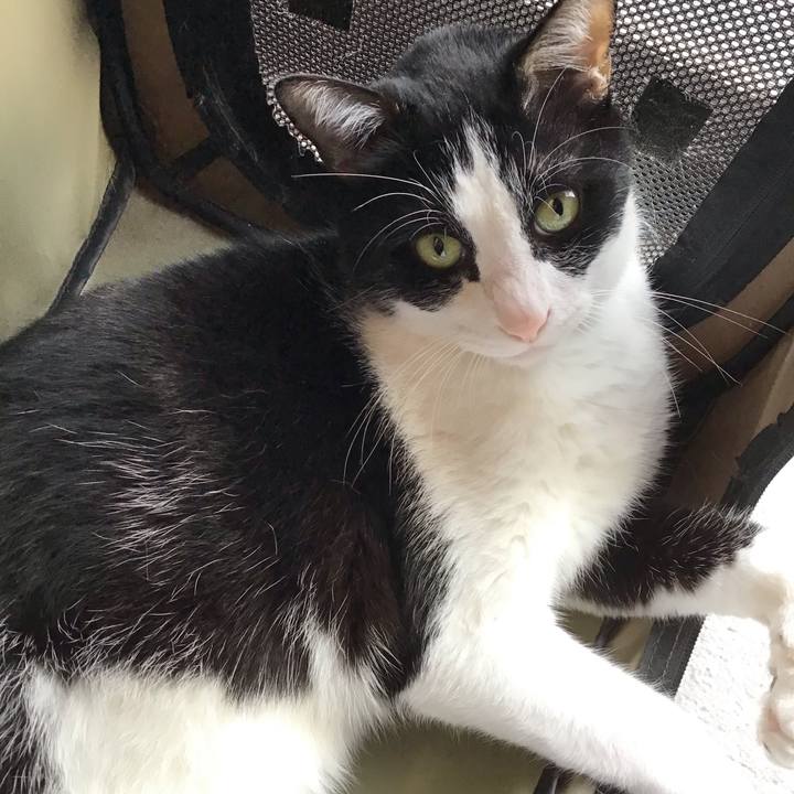 00a9df3d e2aa 49b3 9680 a3c1d342977f 1759312429420