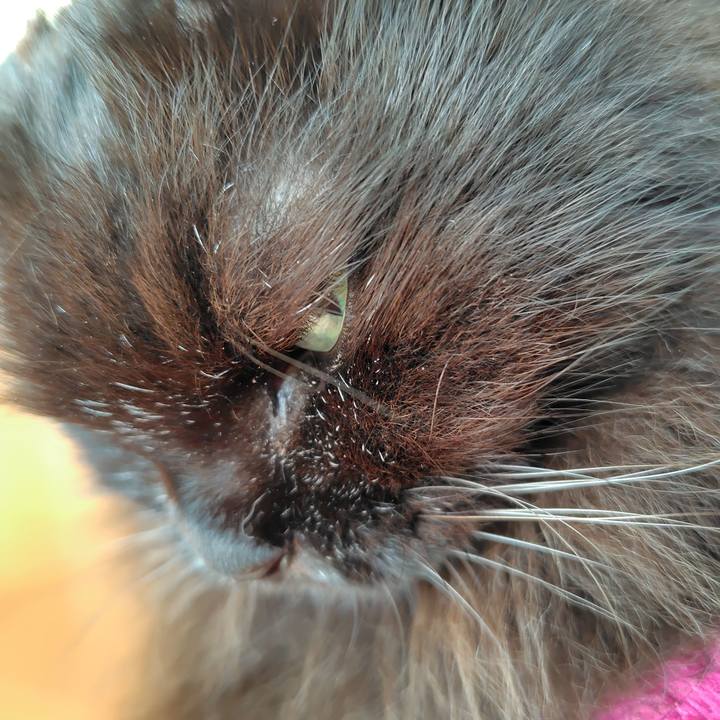 00a9ea4d e63d 40b7 a67f 004ef00b2ab9 1760660767698