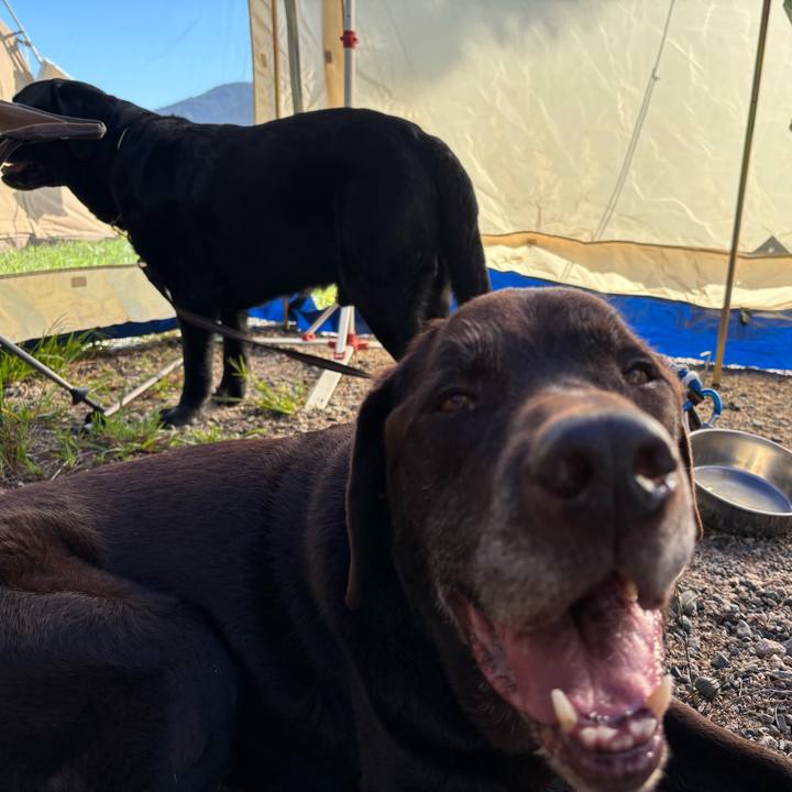 00aa77c8 7dde 415b 89c6 83bd472eb512 1758543656024