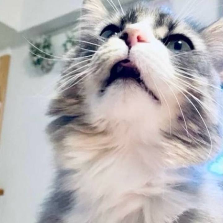 00aa869e b881 49de 80f9 2cd9081562e1 1751297536045