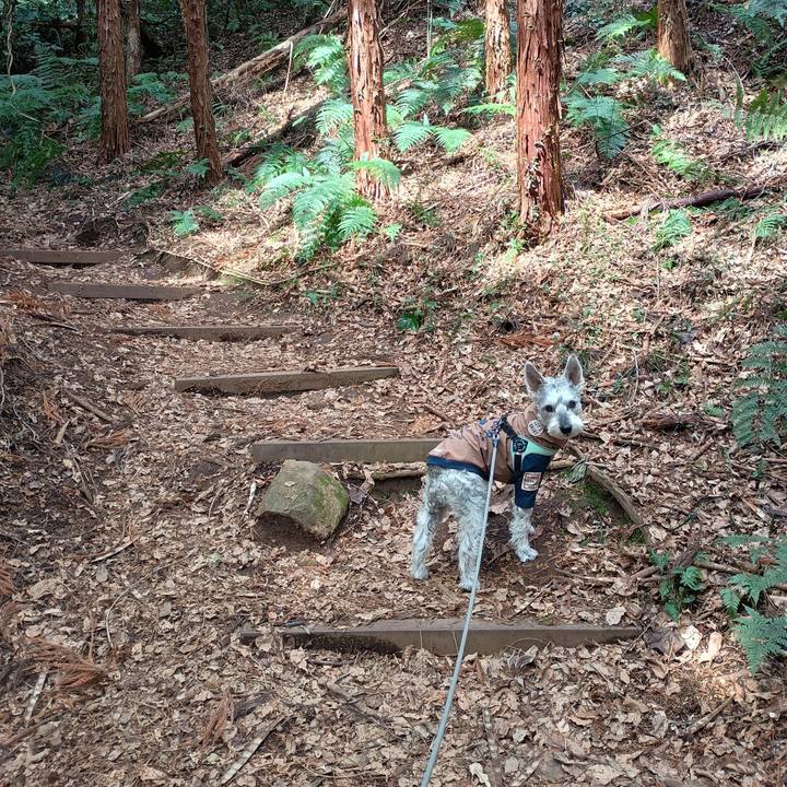 00aaa287 0924 4fab b36a d718b436edf6 1773405745846