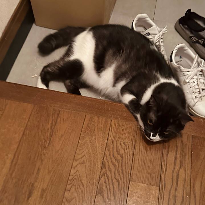 00aaa53b 5a24 4da5 8877 23c3fb5c1816 1775999251842