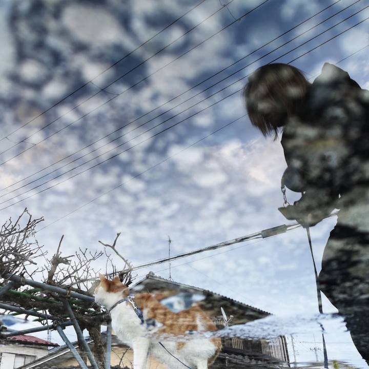 00aaa981 f87c 4f63 a19b fc46170ceaa6 1554037549530