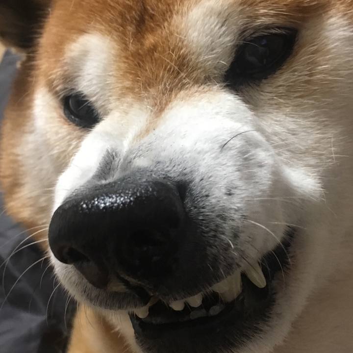 00aaabea 94c6 4b91 88e1 c788665e7999 1524827668079