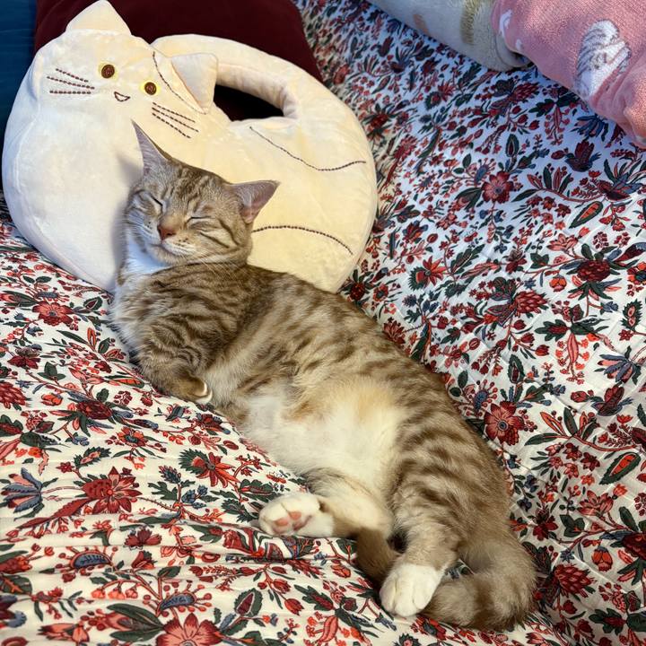 00aabfed 75e1 4d13 abaf 158a9c0575a2 1758631959874