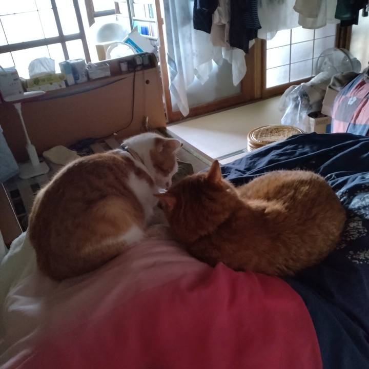 00aad32d e36c 450e 81fb 571e70f6cceb 1732694767529