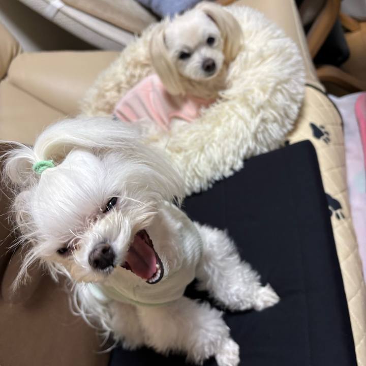 00ab0add 800b 4b92 a757 e3c6676ede7e 1771230334134