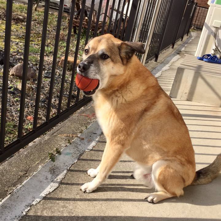 00ab42e9 b5a3 4ca0 840d 83d5cb347dc2 1548379567586