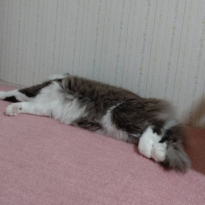 00ab5c71 78a9 4f27 bb57 099ed9eda4cb 1592350103670