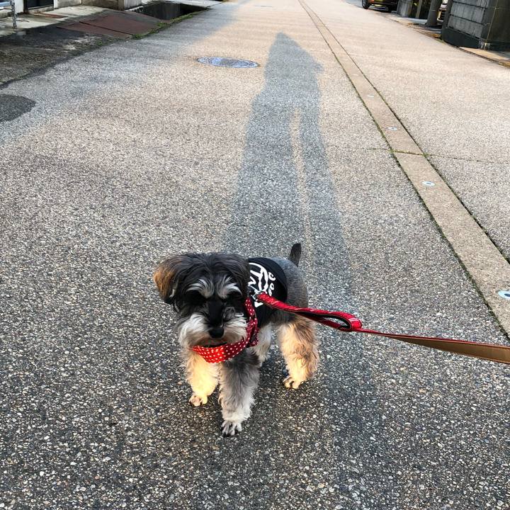 00ab5efe 8473 43a5 908b 2bf9169a6789 1547372127274