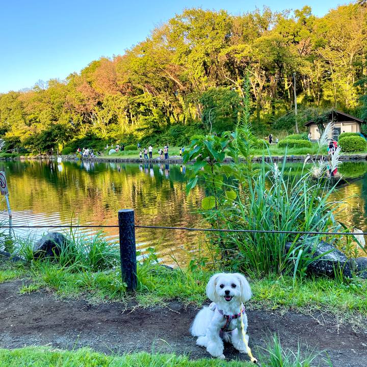 00ab8224 5bda 4561 a94c 7f87d7b01df0 1632555523502