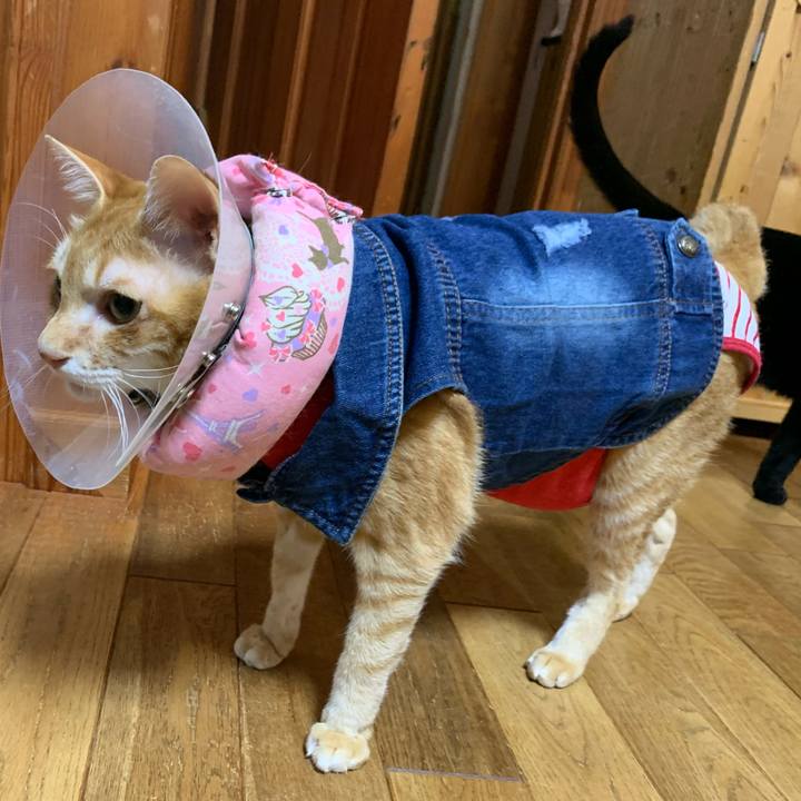 00abac3f 5ee4 4bd6 aa58 b2faf798ea84 1623061932762