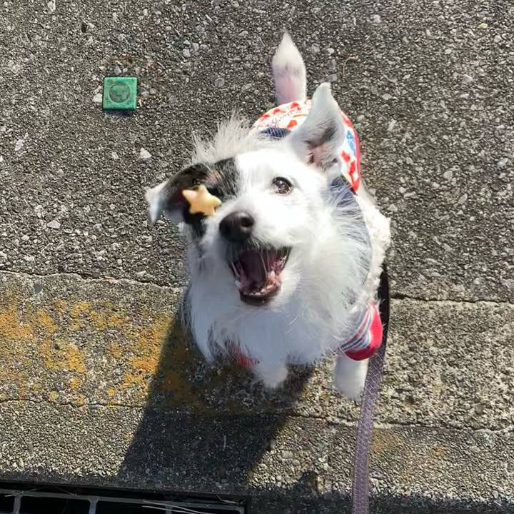 00abae61 05af 40e7 8b32 e2ab26a33b0b 1741562554291